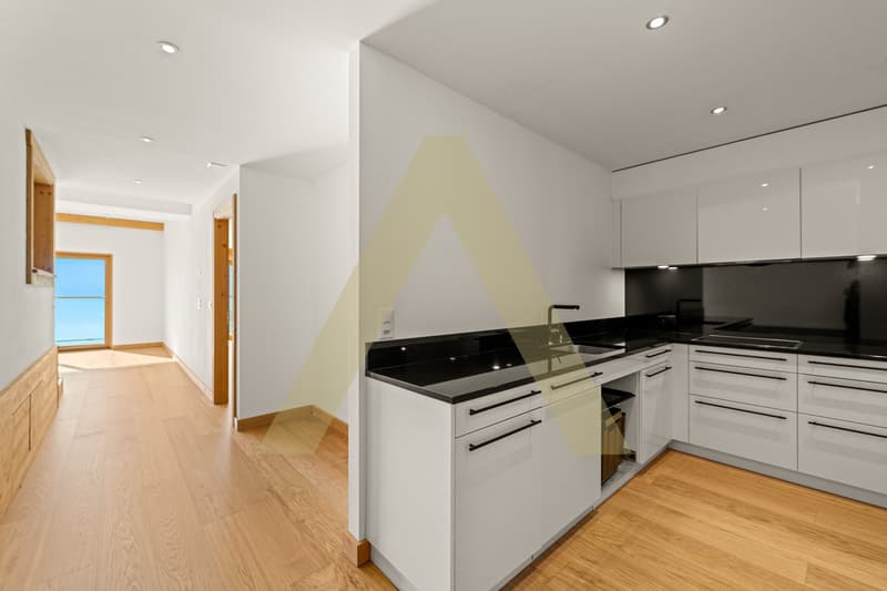Très bel appartement avec vue imprenable (8)