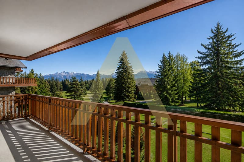 Splendide appartement brut avec potentiel (4)