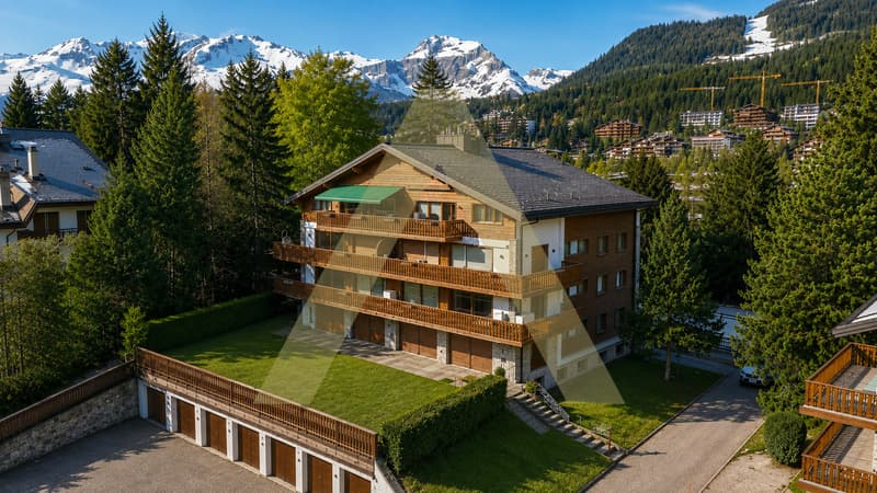 Splendide appartement brut avec potentiel (5)