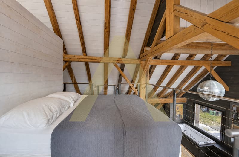 Un duplex aux airs de loft (4)