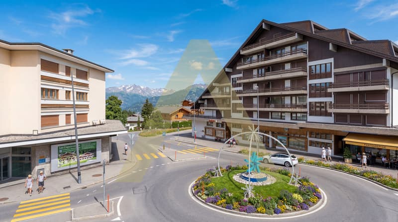 Spacieux et lumineux appartement en plein centre (10)