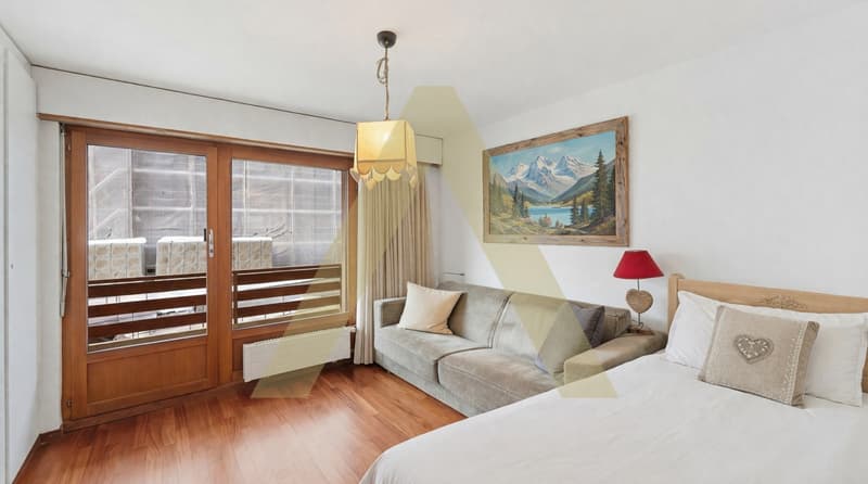 Spacieux et lumineux appartement en plein centre (6)