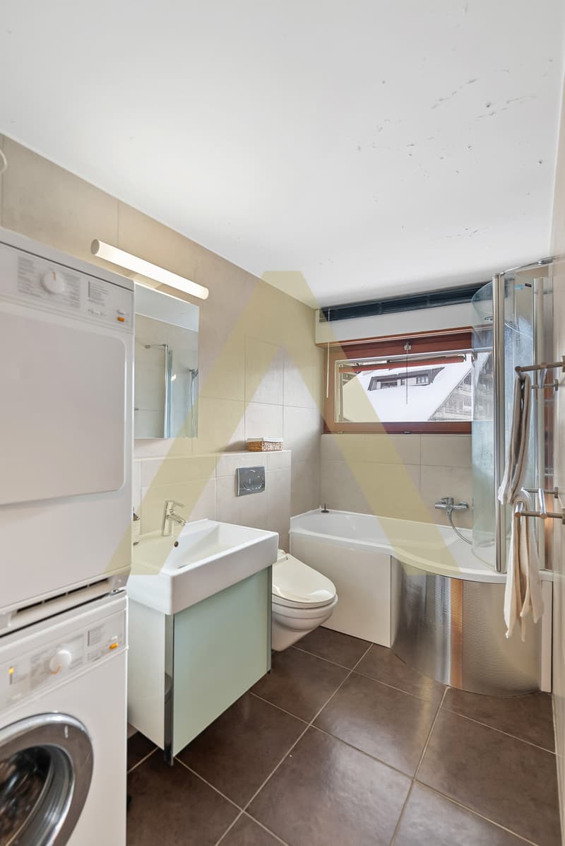 Spacieux et lumineux appartement en plein centre (8)