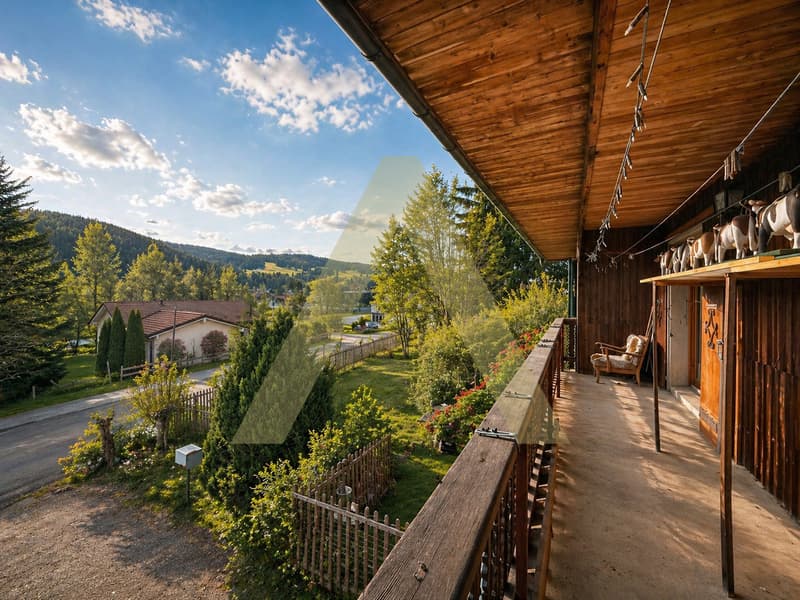Opportunité Rare au Brassus - Terrain Constructible à Haut Potentiel (2)