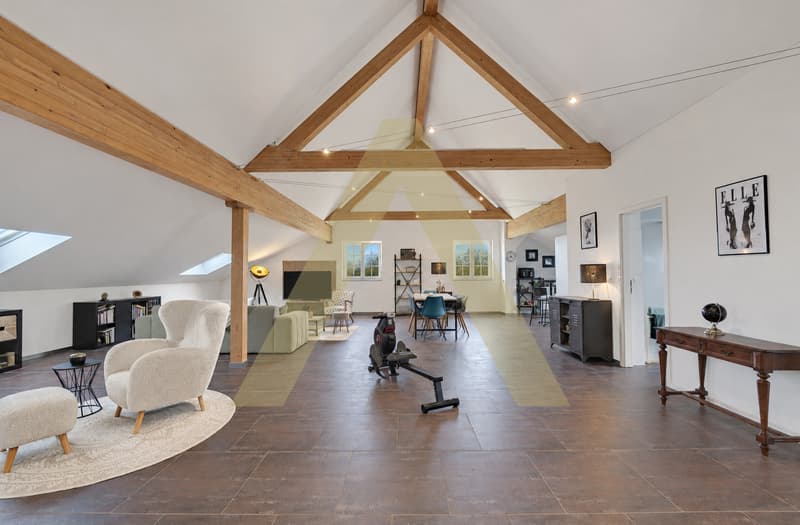 Une maison pour ceux qui voient plus grand que les murs (12)