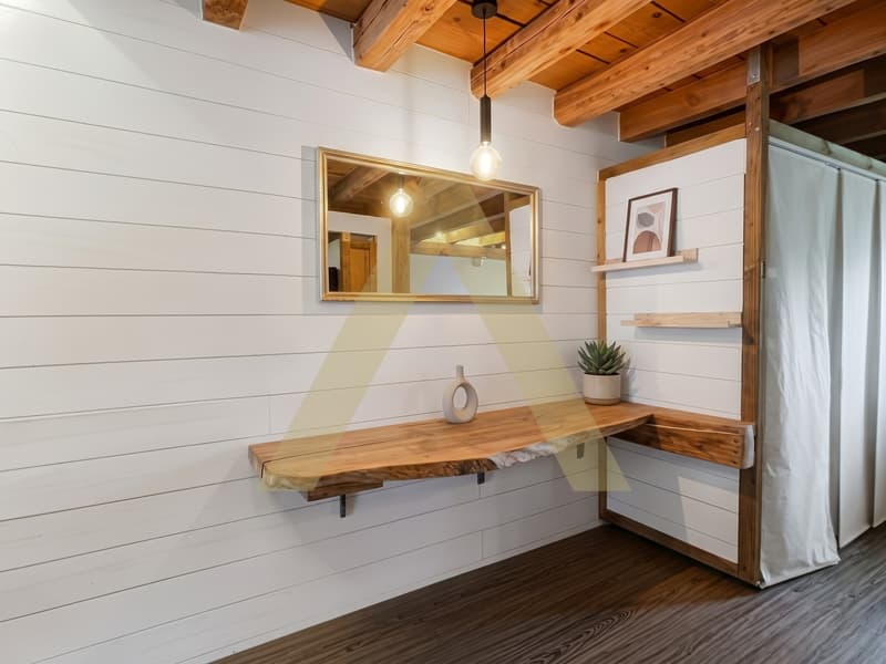 Appartement de charme avec jardin (4)