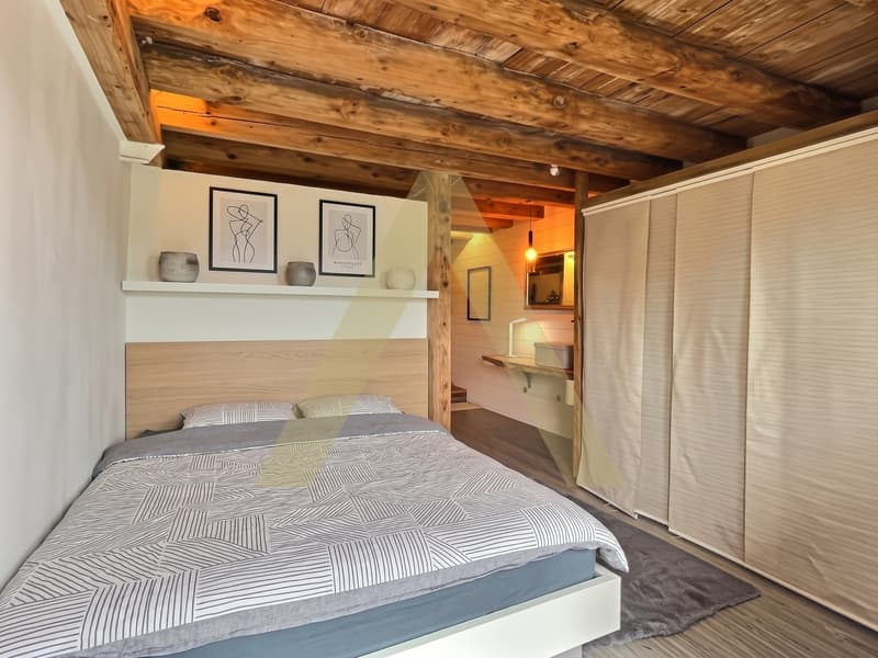 Appartement de charme avec jardin (5)