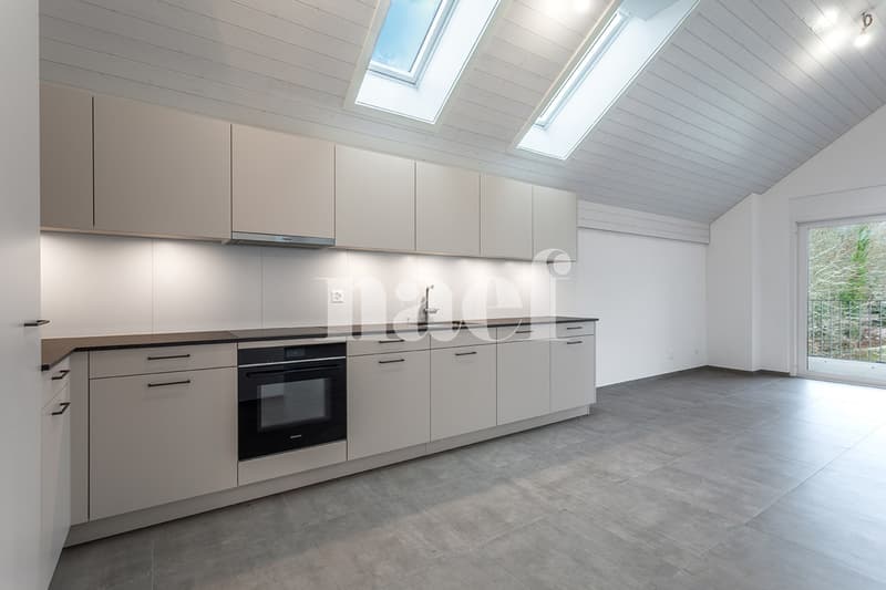 Magnifique 5.5 pièces dans les combles avec loggia à vendre à St-Aubin (2)