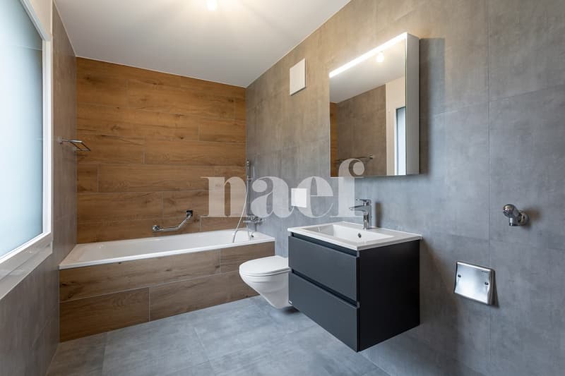 Magnifique 5.5 pièces dans les combles avec loggia à vendre à St-Aubin (5)