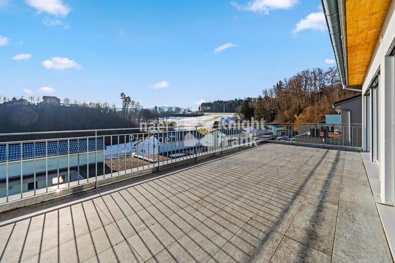 Wunderschönes 7-Zimmer-Einfamilienhaus mit freier Aussicht auf die Landschaft und beheiztem Pool in St. Ursen zu verkaufen (11)