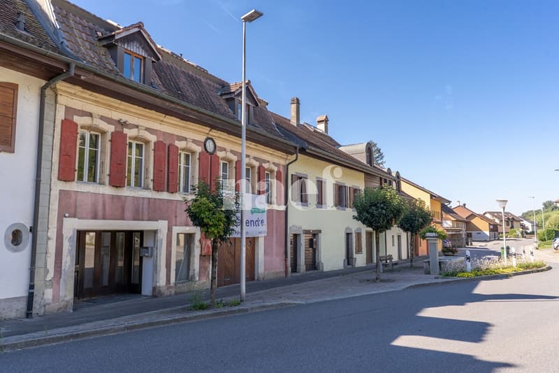 Maison de maître au bord du lac de Morat à vendre à Vallamand (2)