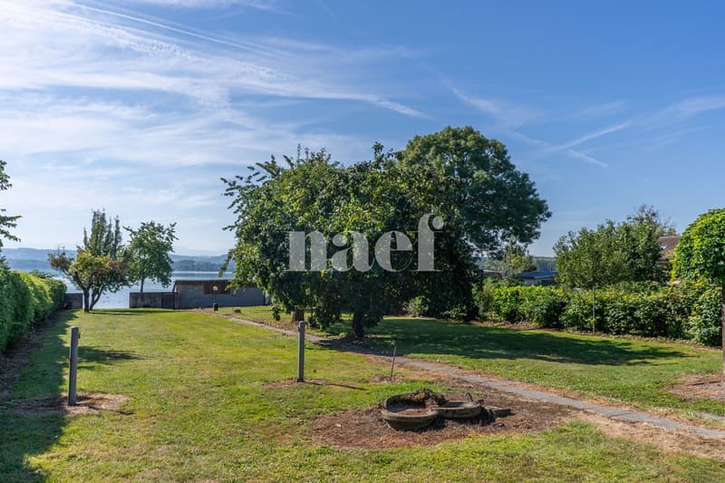 Maison de maître au bord du lac de Morat à vendre à Vallamand (7)
