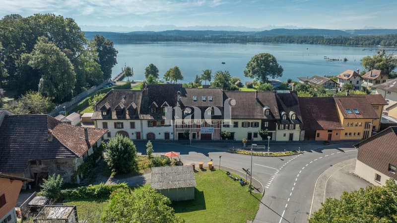 Maison de maître au bord du lac de Morat à vendre à Vallamand (4)