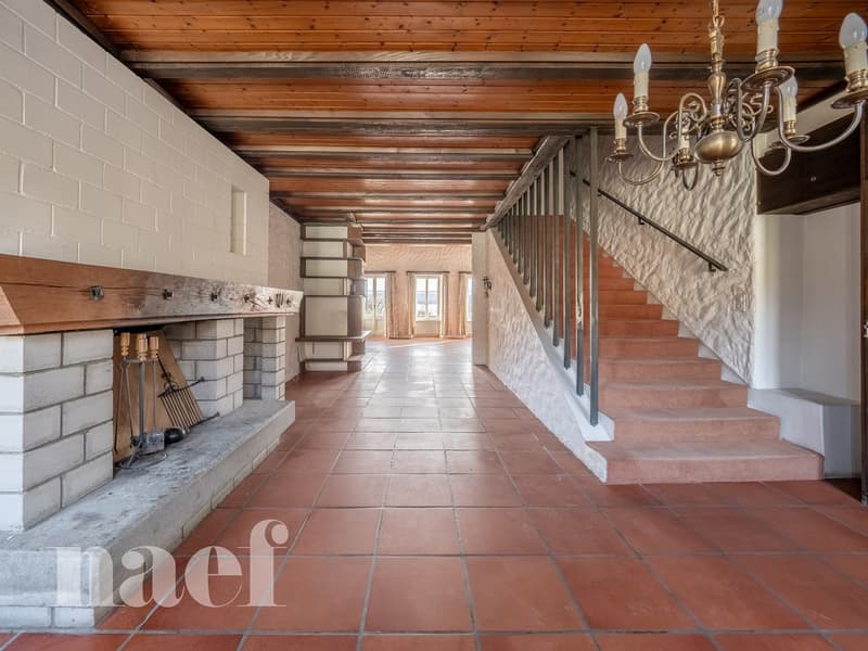 Maison de maître au bord du lac de Morat à vendre à Vallamand (6)