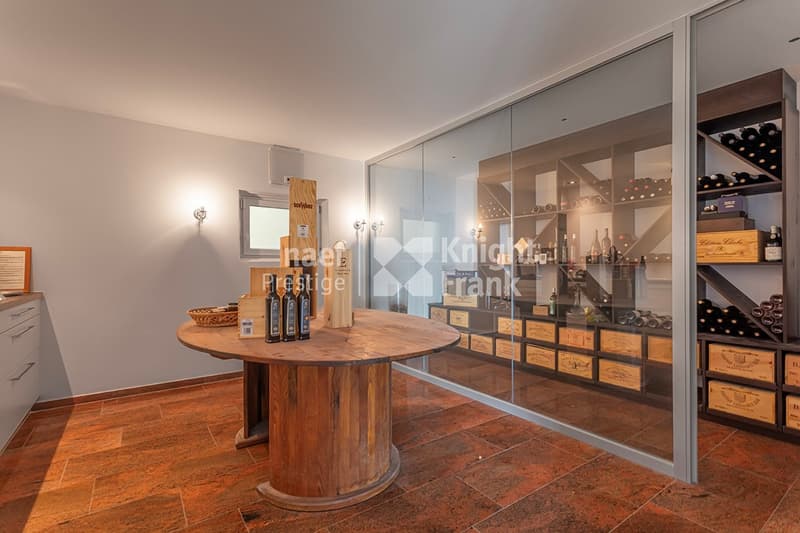 Magnifique propriété individuelle de 6 pièces avec vue imprenable sur le lac de Morat à vendre à Bellerive (9)
