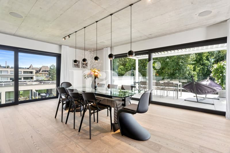 EN EXCLUSIVITÉ : Magnifique logement de 4.5 pièces de 182 m² avec grande terrasse à vendre à Fribourg (2)
