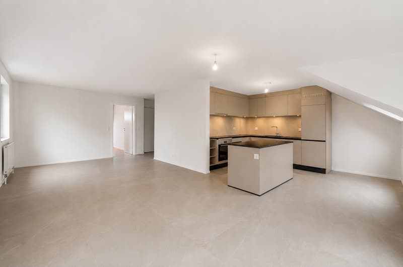Appartement rénové de 4.5 pièces au dernier étage à vendre à Fétigny (1)