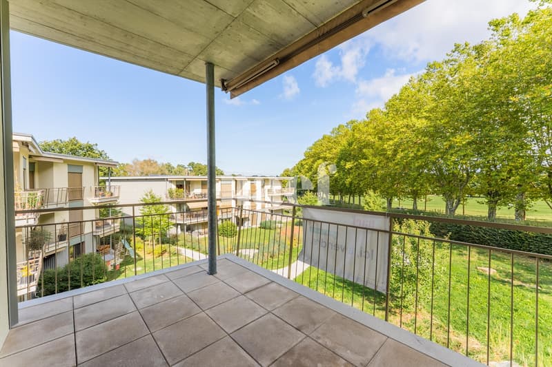 Bel appartement de 4.5 pièces au 1er étage avec 2 balcons à vendre à Payerne (10)