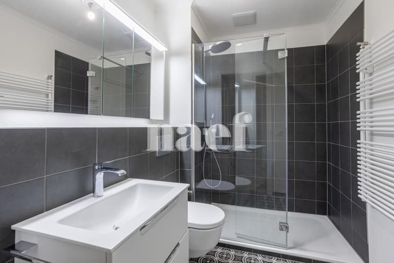NEUF - appartement avec cachet de 3.5 pièces au 2ème étage à louer à Avenches ! (8)