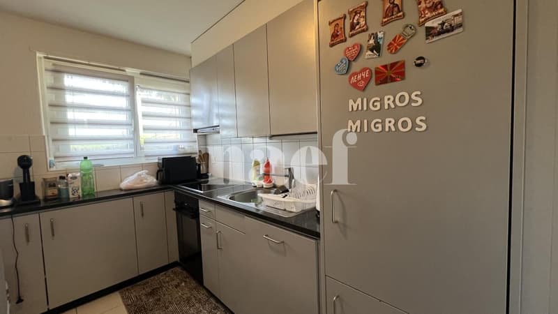 Chaleureux logement de 5 pièces situé au rez-de-chaussée de l'immeuble. (3)