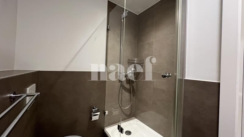 Magnifique logement de 2,5 pièces au deuxième étage à Fribourg ! (8)