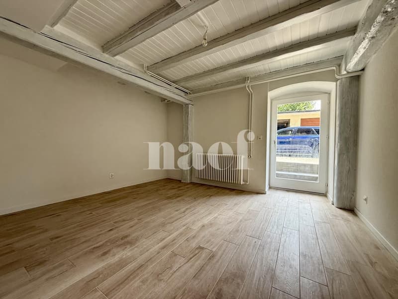 Appartement rénové de 1.5 pièces à louer ! (3)