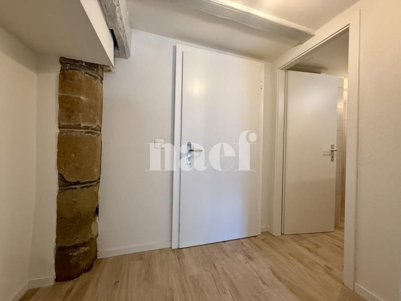 Appartement rénové de 1.5 pièces à louer ! (4)