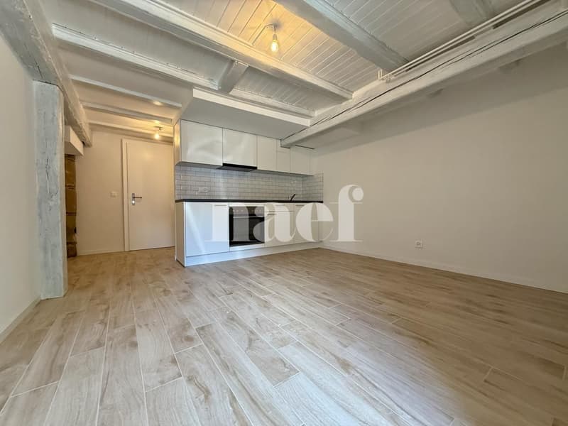 Appartement rénové de 1.5 pièces à louer ! (2)