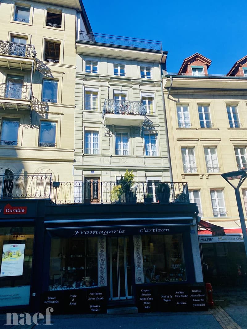 Appartement de 2,5 pièces au 3 ème étage, en pleine rue piétonne (1)