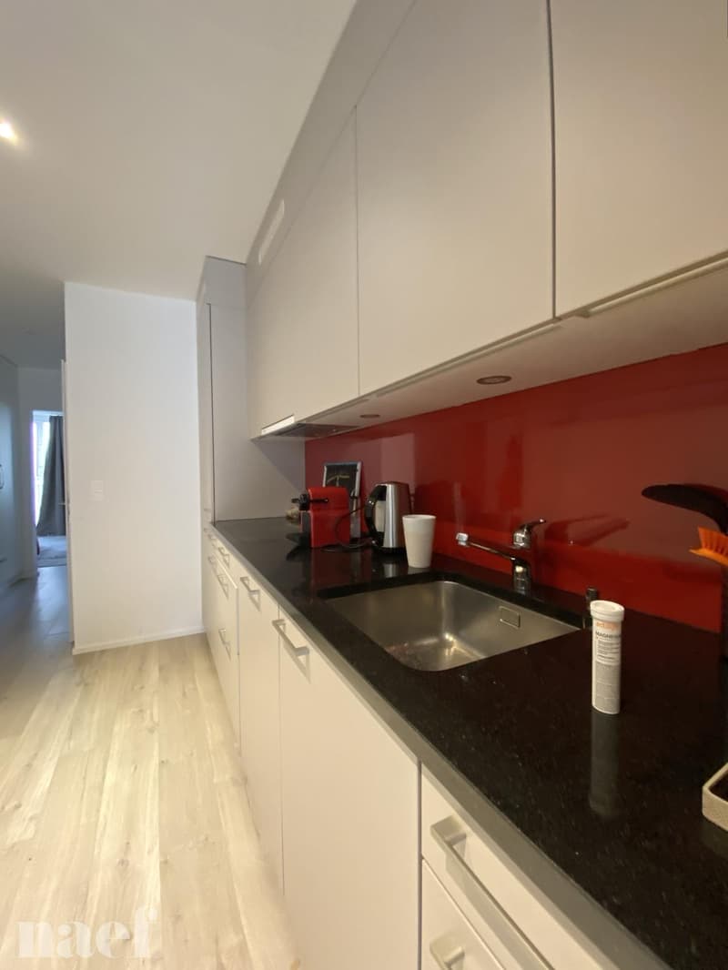 Appartement de 2,5 pièces au 3 ème étage, en pleine rue piétonne (6)