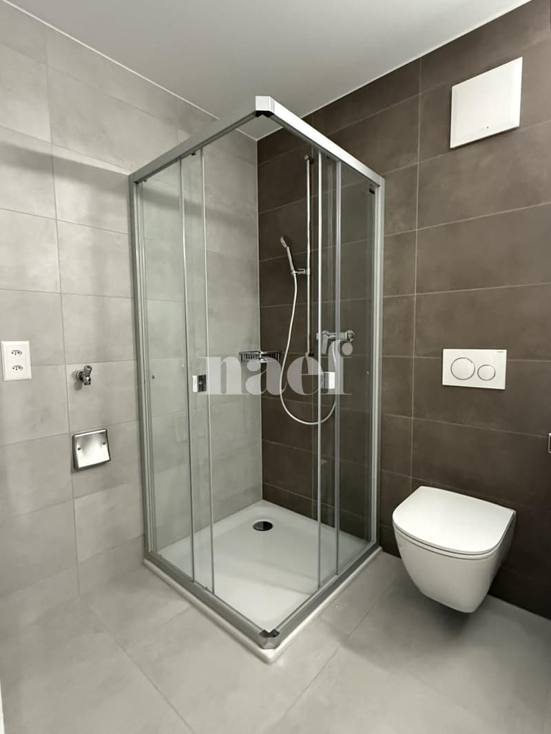 Bel appartement de 3.5 pièces au rez-de-chaussée à Billens ! (5)