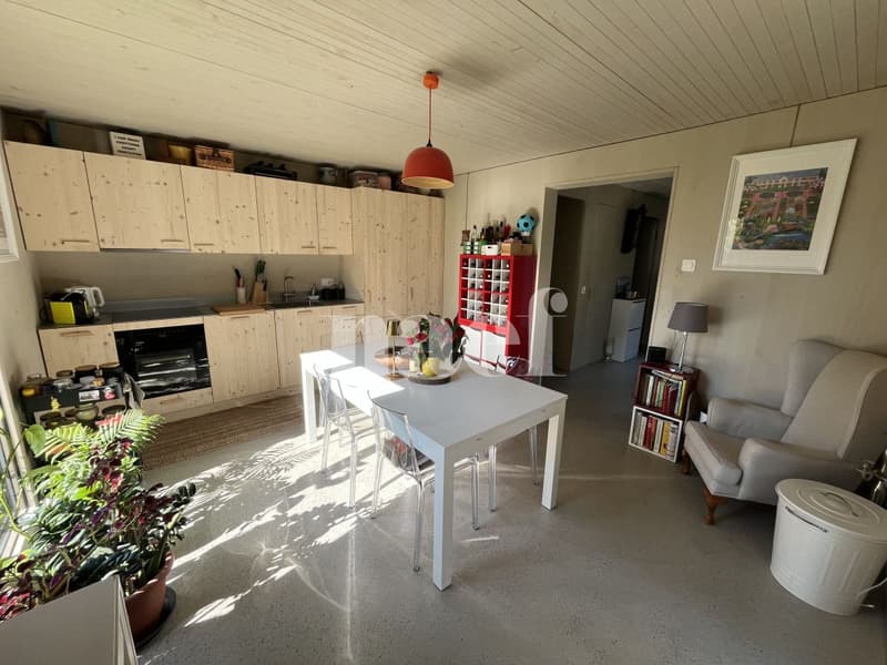 Bel appartement de 3.5 pièces en triplex avec jardin à Corminboeuf ! (1)