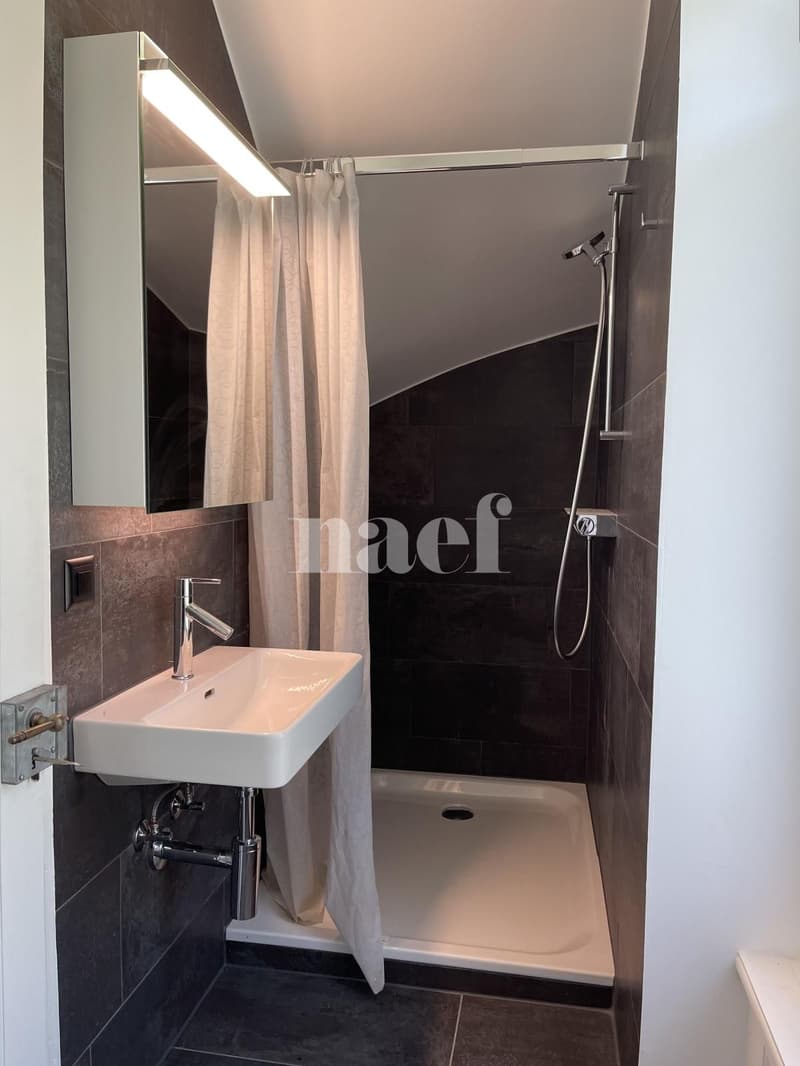 Magnifique appartement de 4.5 pièces dans un château à Villars-sur-Glâne ! (6)