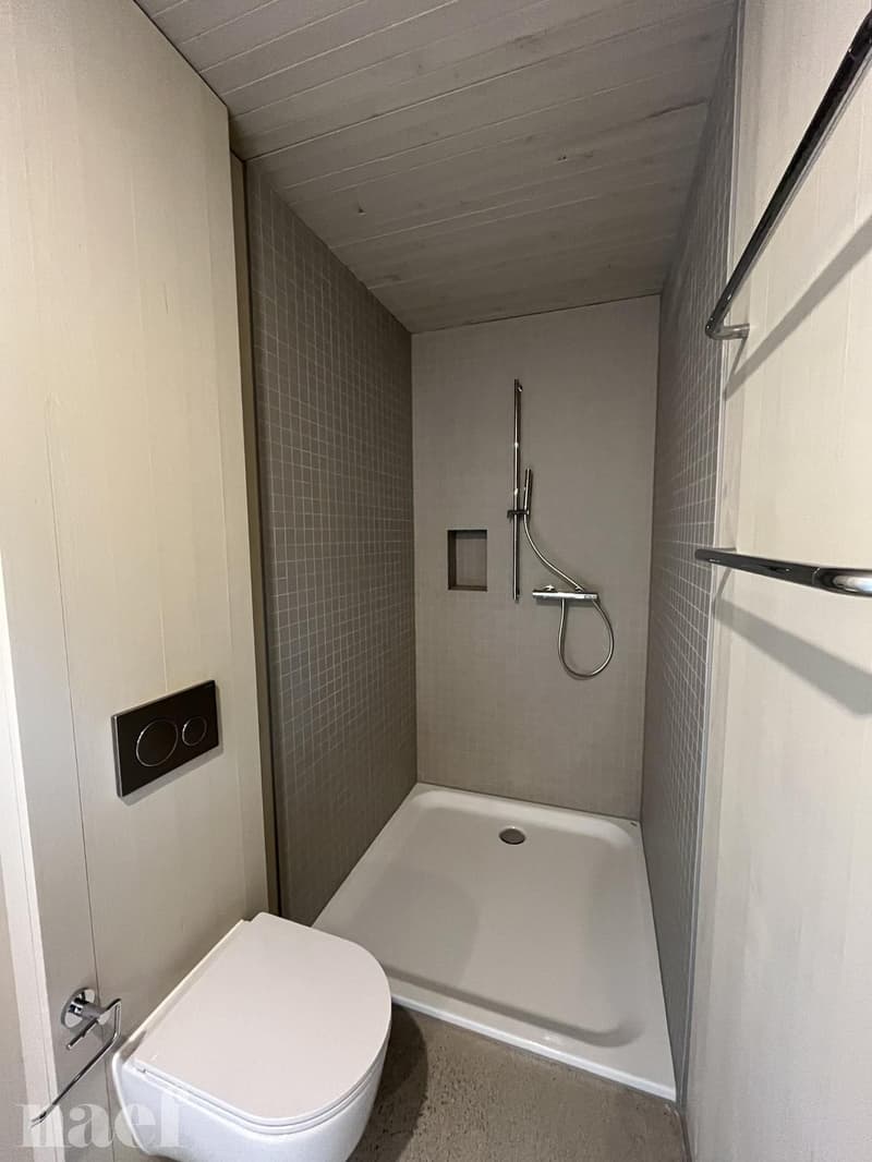 Magnifique appartement en triplex avec jardin  Construction écologique de 2023 à Corminboeuf (5)