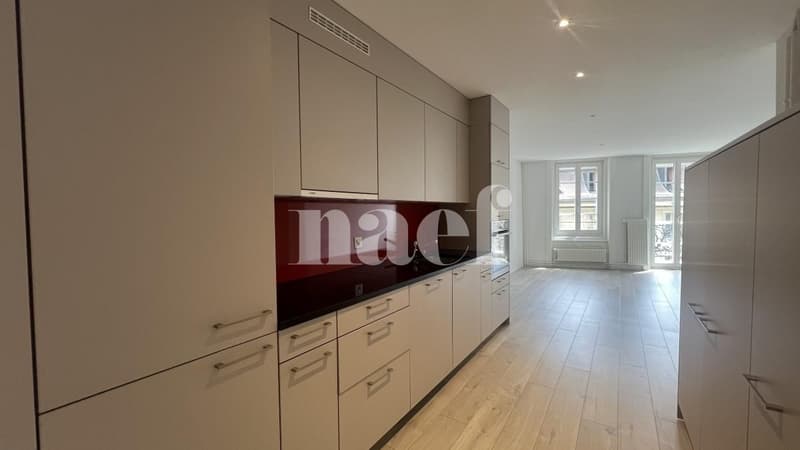 Appartement de 2,5 pièces au 3 ème étage, en pleine rue piétonne (1)