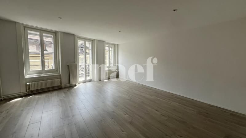 Appartement de 2,5 pièces au 3 ème étage, en pleine rue piétonne (2)