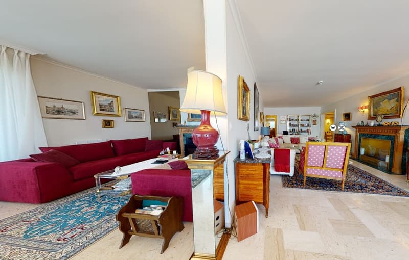 Rare - Objet de luxe avec terrasse panoramique (6)