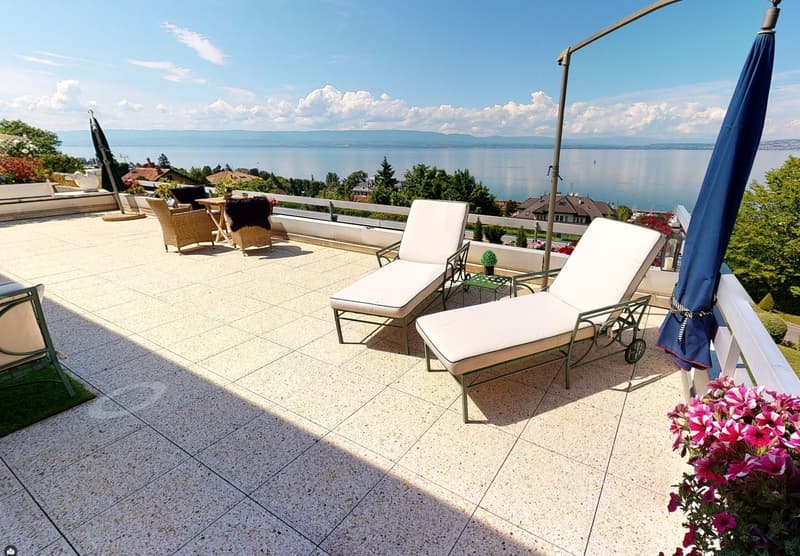 Rare - Objet de luxe avec terrasse panoramique (4)