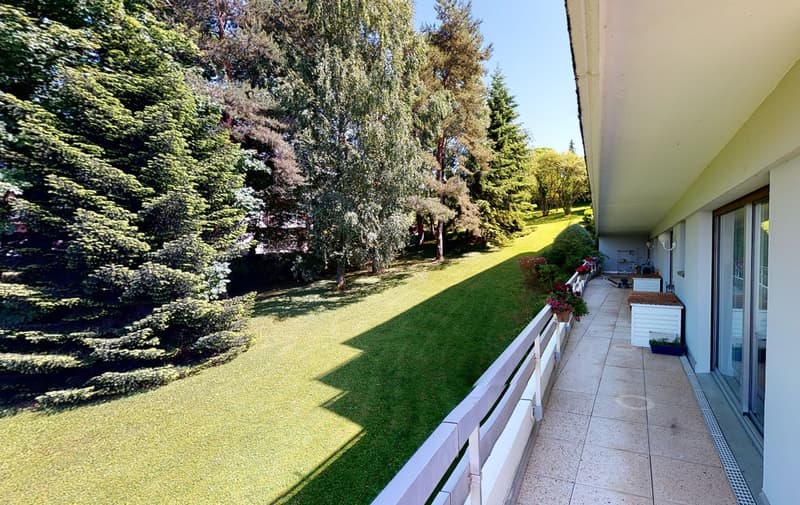 Rare - Objet de luxe avec terrasse panoramique (12)