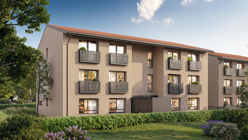 Dernier lot  - Attique de 3.5 pièces avec terrasse . (6)