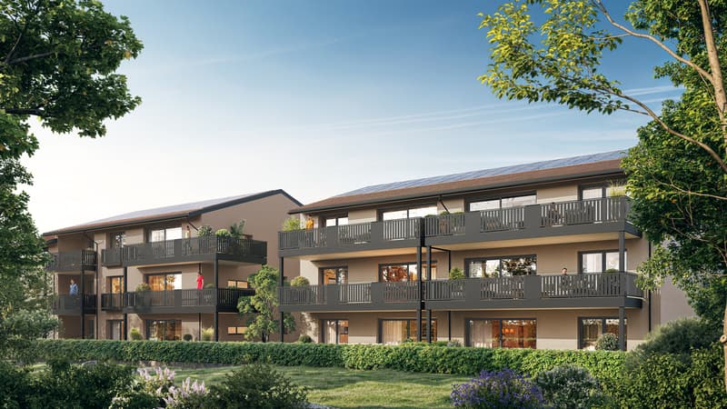 Dernier lot  - Attique de 3.5 pièces avec terrasse . (3)