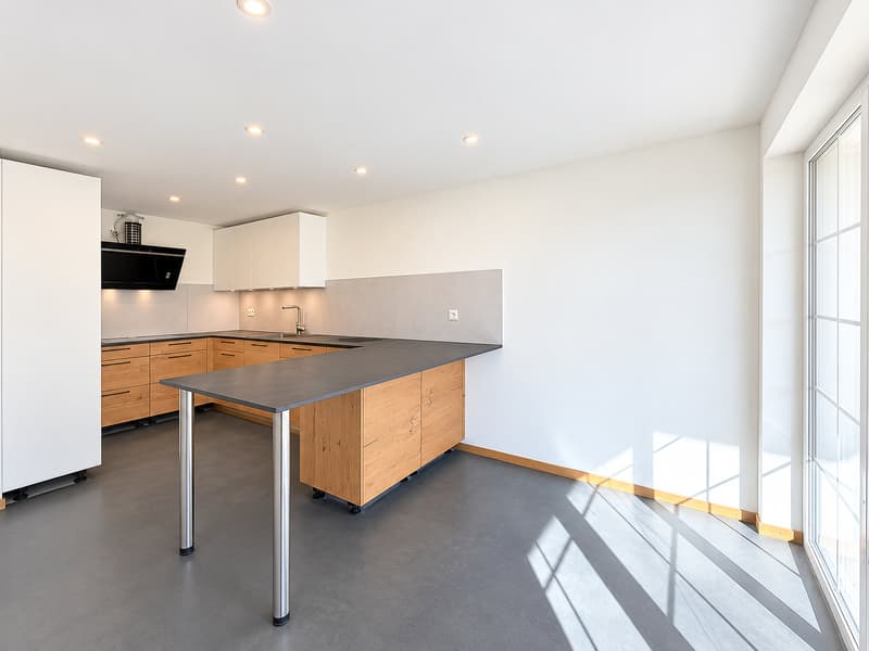 Spacieuse maison rénovée de 9 pièces (7)