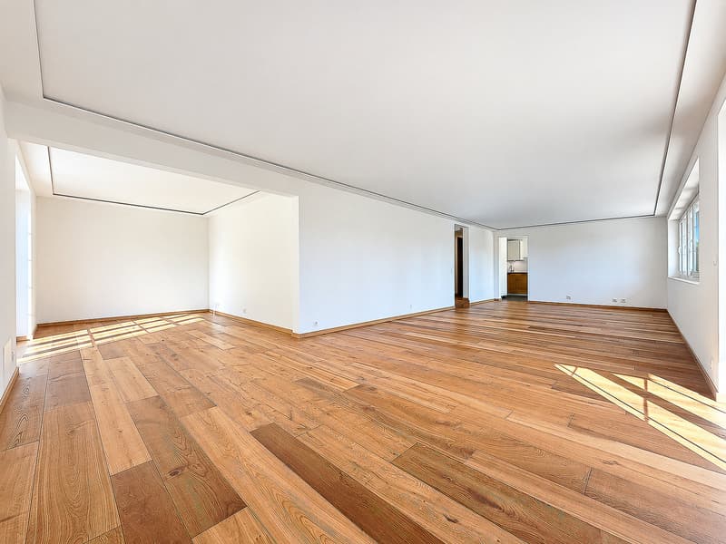 Spacieuse maison rénovée de 9 pièces (6)