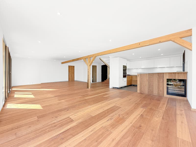 Spacieuse maison rénovée de 9 pièces (4)