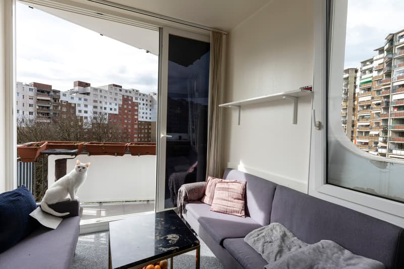 Appartement traversant de 6,5 pièces (3)