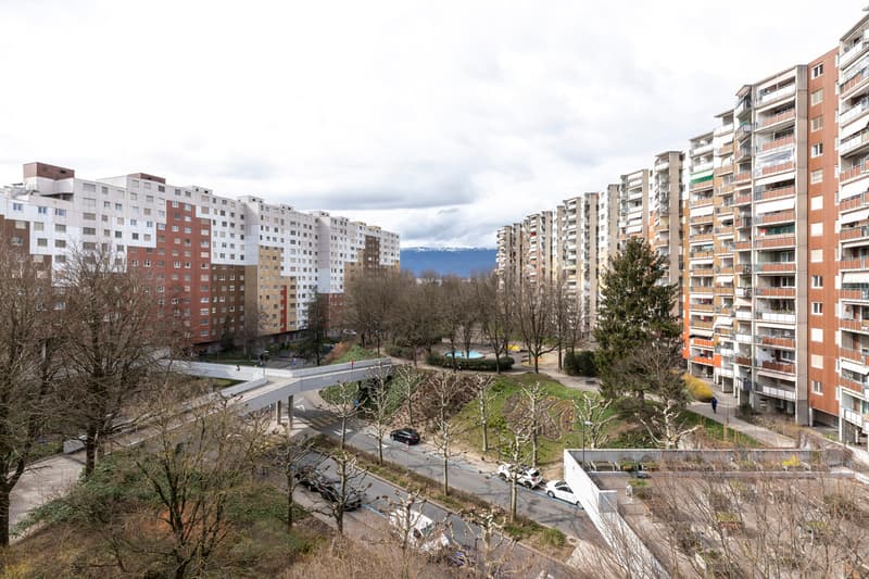 Appartement traversant de 6,5 pièces (4)