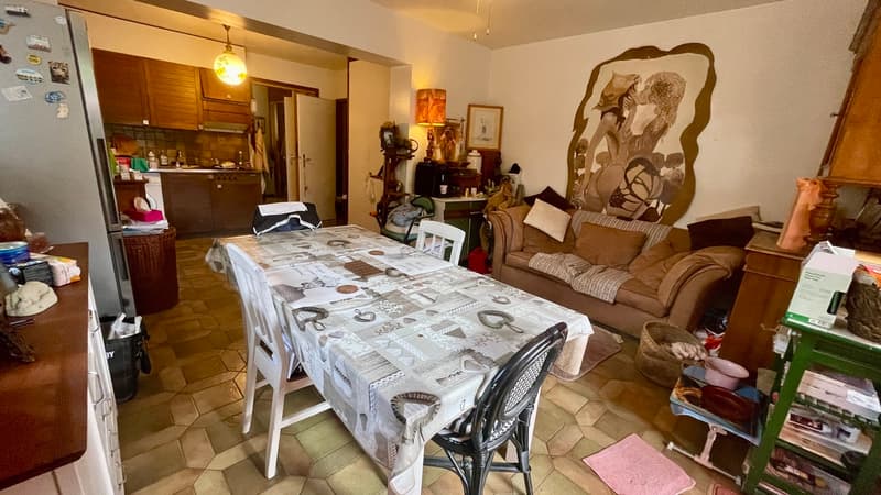 Maison individuelle avec beau potentiel (1)