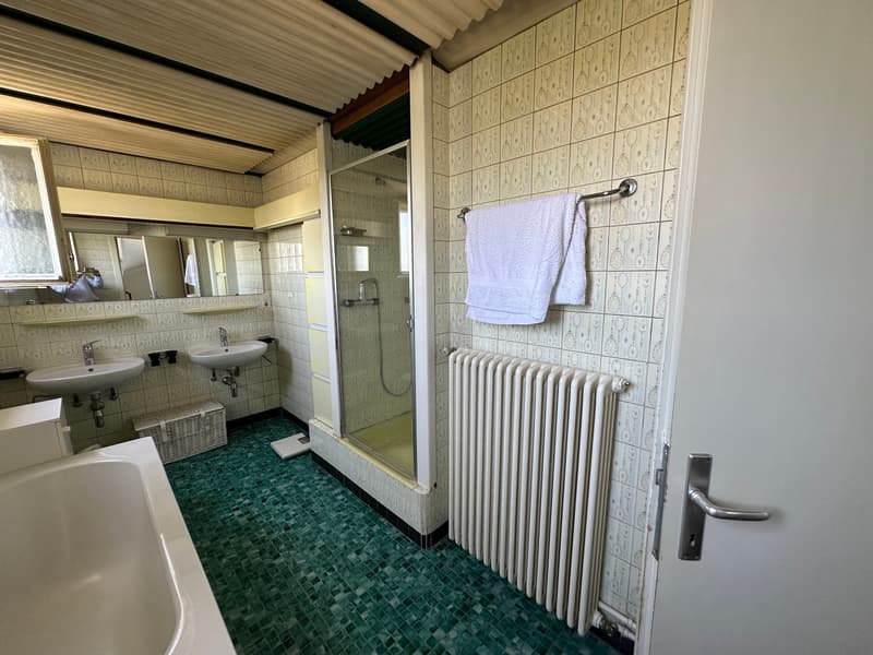 Maison individuelle à rénover - Fort potentiel à Plan-les-Ouates (8)