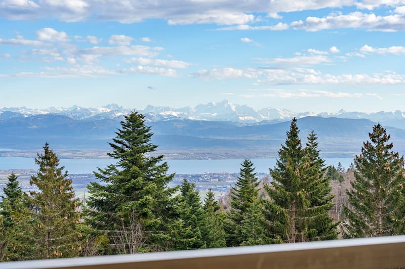 Appartement panoramique - Lac, Alpes et Sérénité