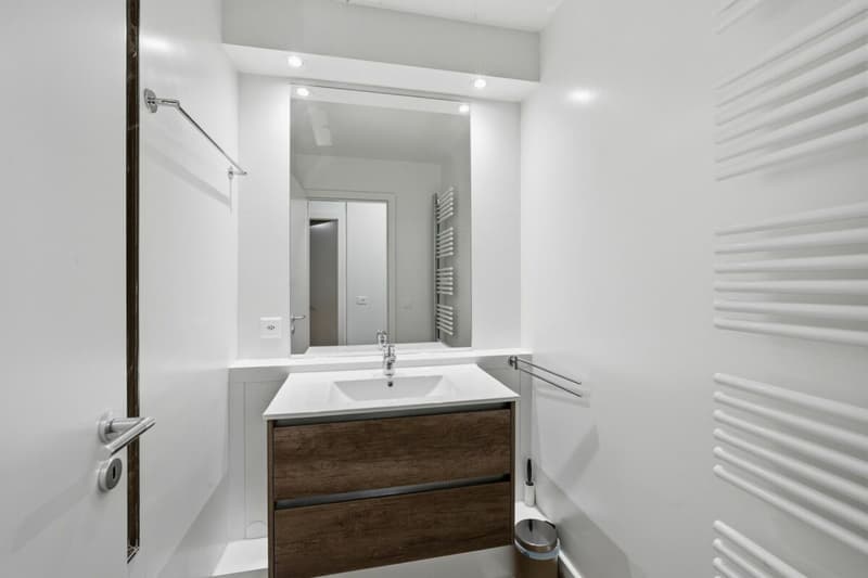 Appartement de charme de 66m2 entièrement rénové avec goût (10)